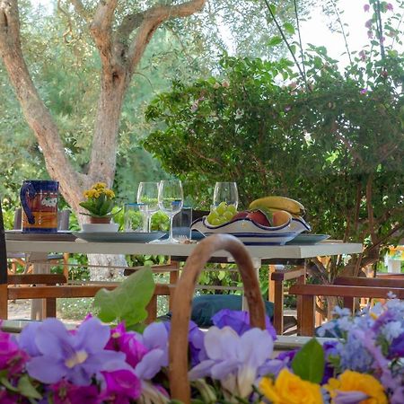 Casa Vacanze Il Bacio ピアーノ・ディ・ソッレント エクステリア 写真